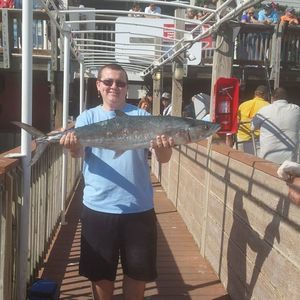 Meet your Posher, Nick